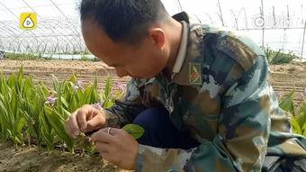 贵州道士做法视频,古老仪式与现代视觉冲击