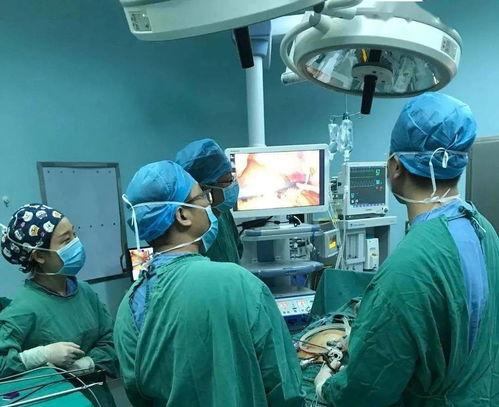 手术 视频,揭秘现代医疗技术
