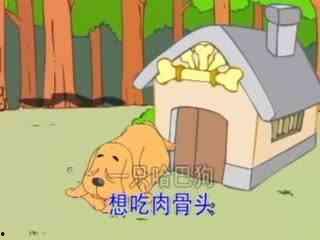 一只哈巴狗儿歌视频,萌宠欢歌，萌态可掬