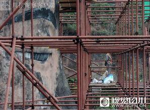 乐山视频架,打造家庭影院新体验